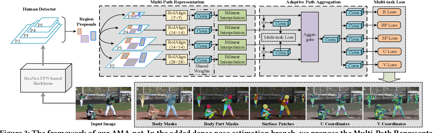 Figure 3: The framework of our AMA-net. In the added dense pose estimation branch, we propose the Multi-Path Representation learning modular and the Adaptive Path Aggregation modular for exploring the multi-level features. B, BP, SP, U, and V losses denote the losses on body masks, body part masks, surface patches, U coordinates, and V coordinates respectively.