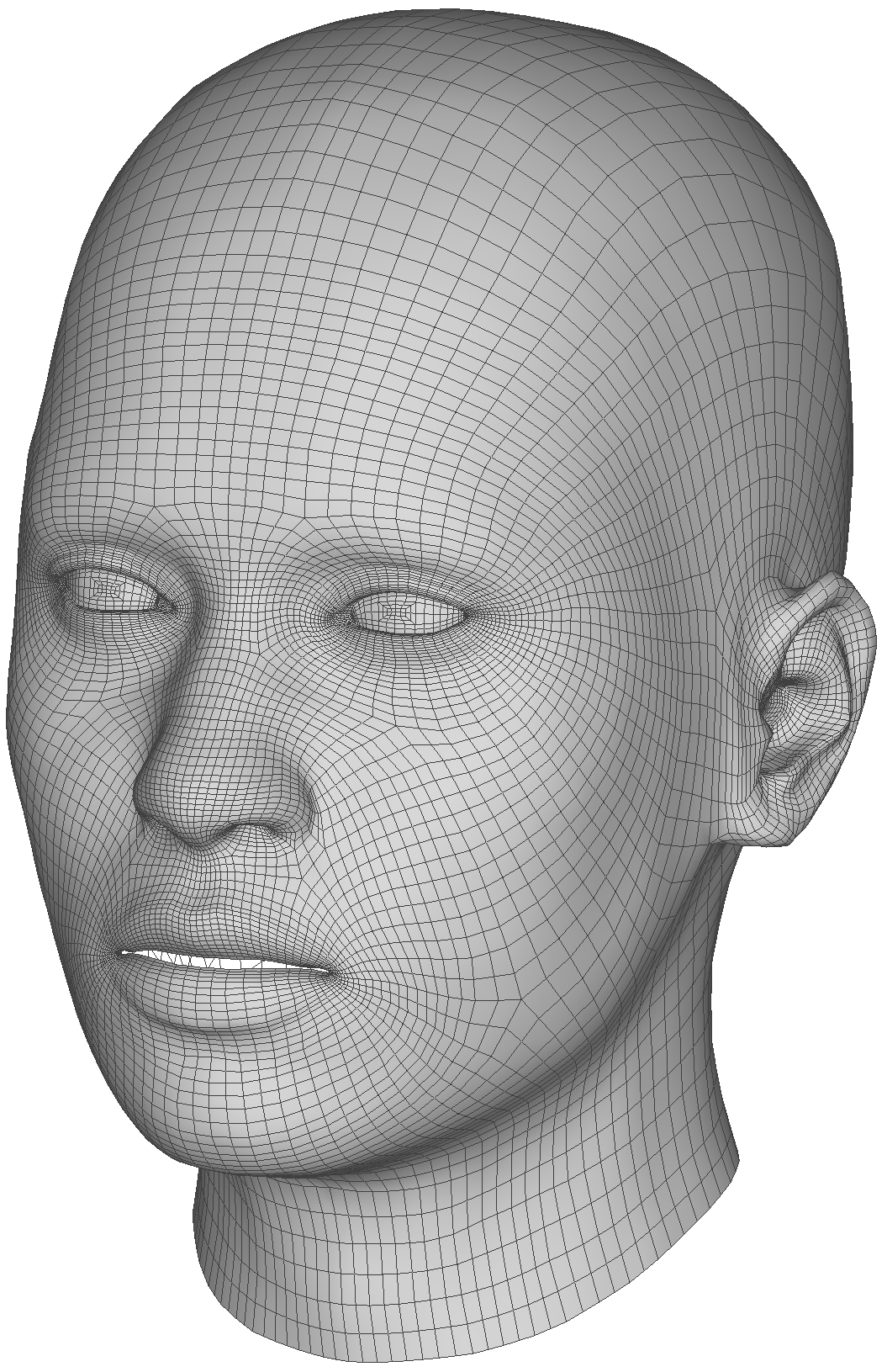 4D Face Model colour picture