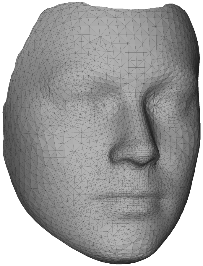 4D Face Model colour picture