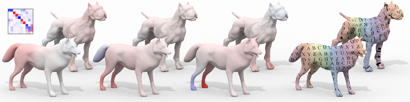 Fig. 1. Given a pair of shapes and a collection of corresponding descriptors, our method produces a set of basis elements along with an associated functional map. These bases are not necessarily LB smooth and thus their aligning matrix is typically dense (left). Our machinery can be utilized in various geometry processing tasks such as non-isometric shape matching (right).